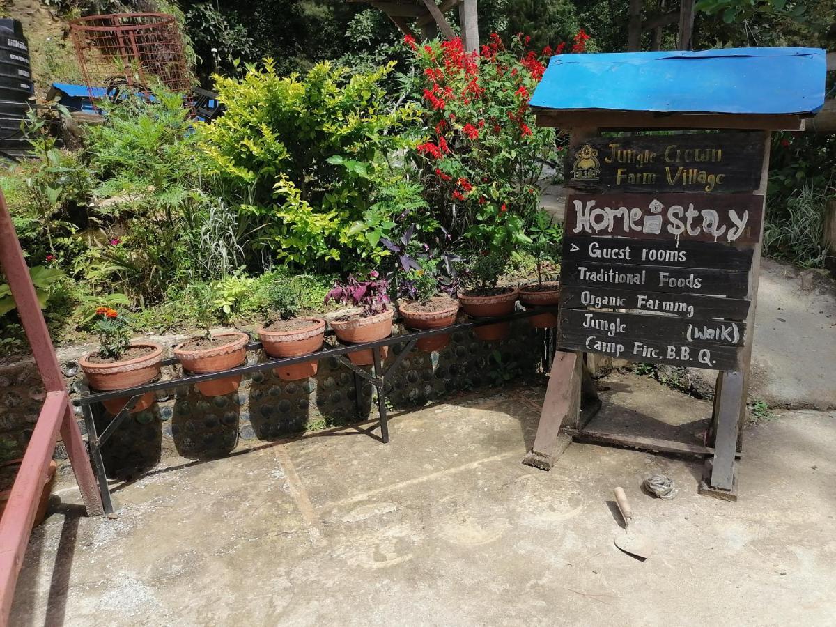 Jungle Crown Organic Homestay Nagarkot Kültér fotó