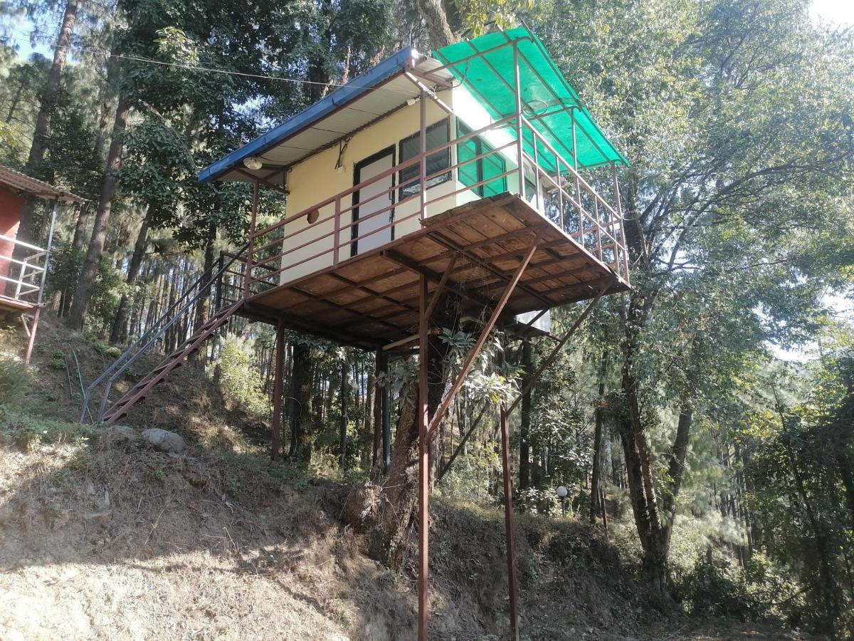 Jungle Crown Organic Homestay Nagarkot Kültér fotó