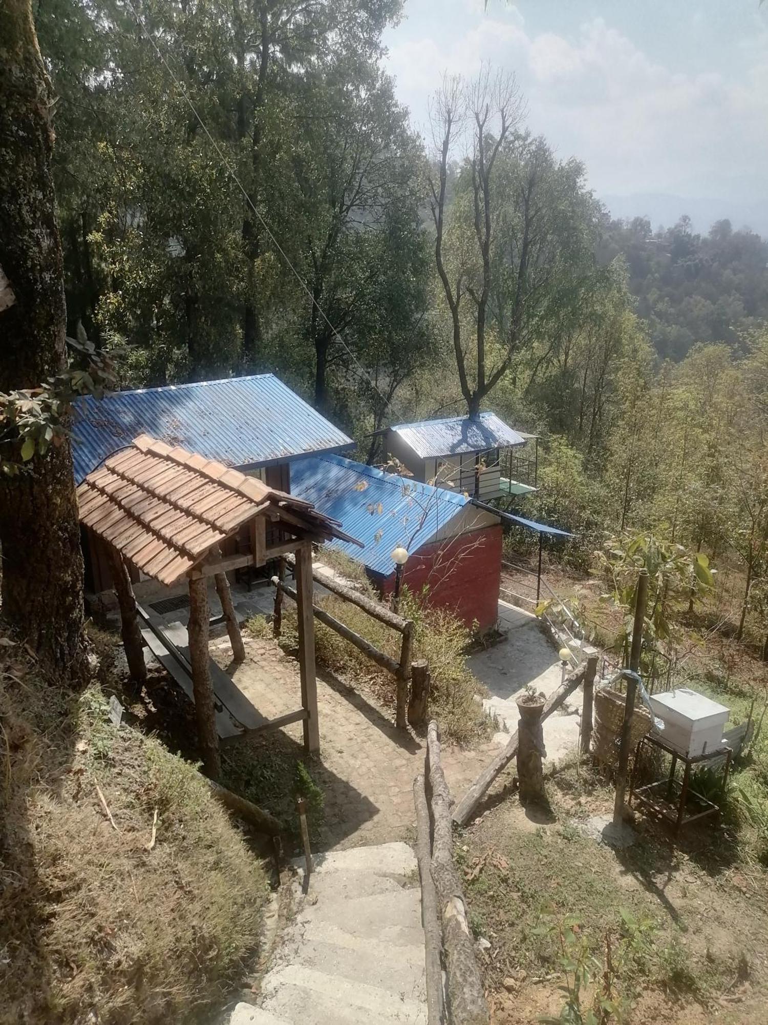 Jungle Crown Organic Homestay Nagarkot Kültér fotó