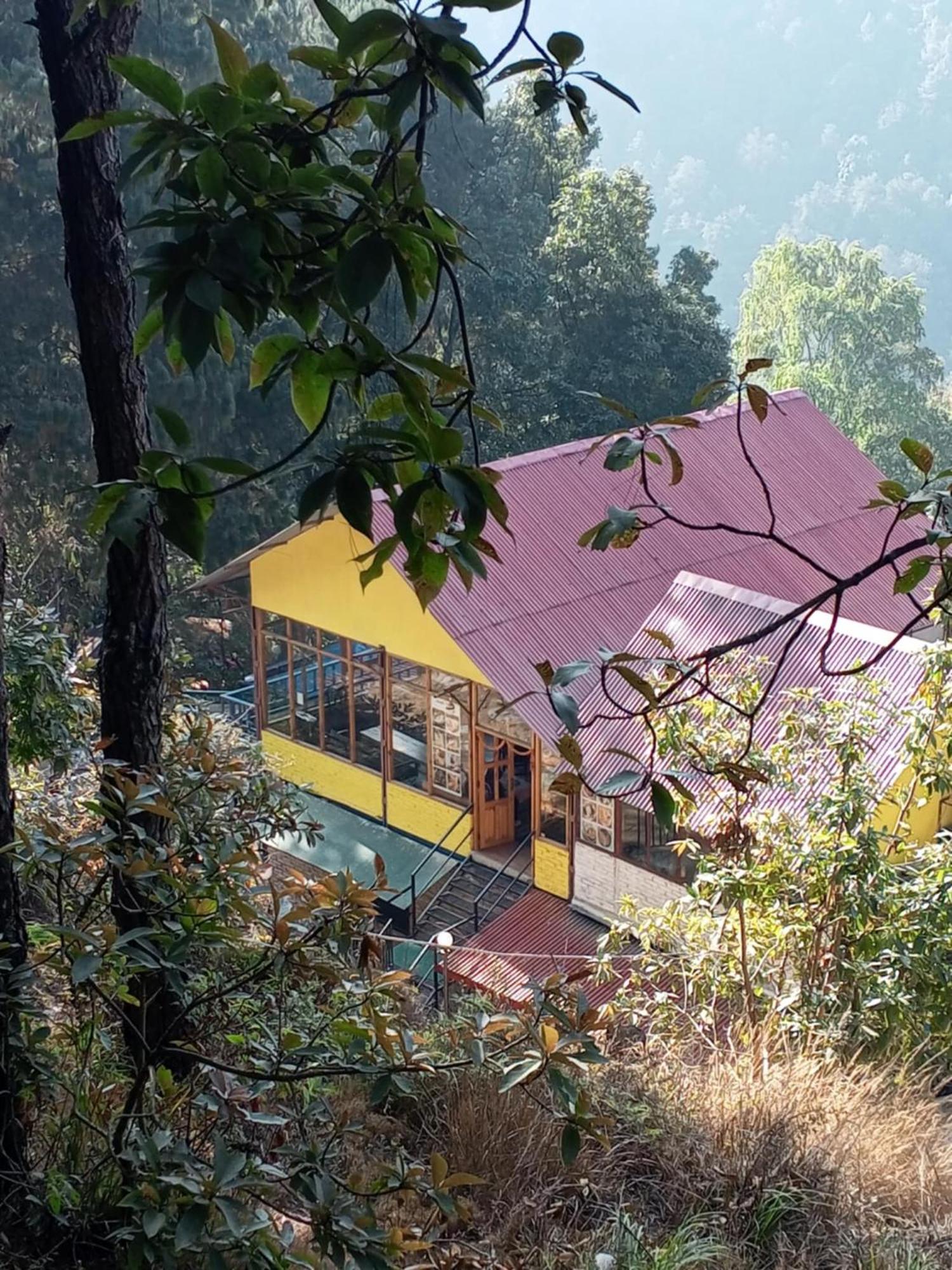 Jungle Crown Organic Homestay Nagarkot Kültér fotó