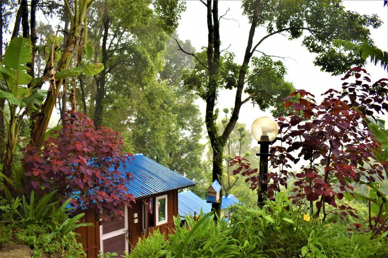 Jungle Crown Organic Homestay Nagarkot Kültér fotó