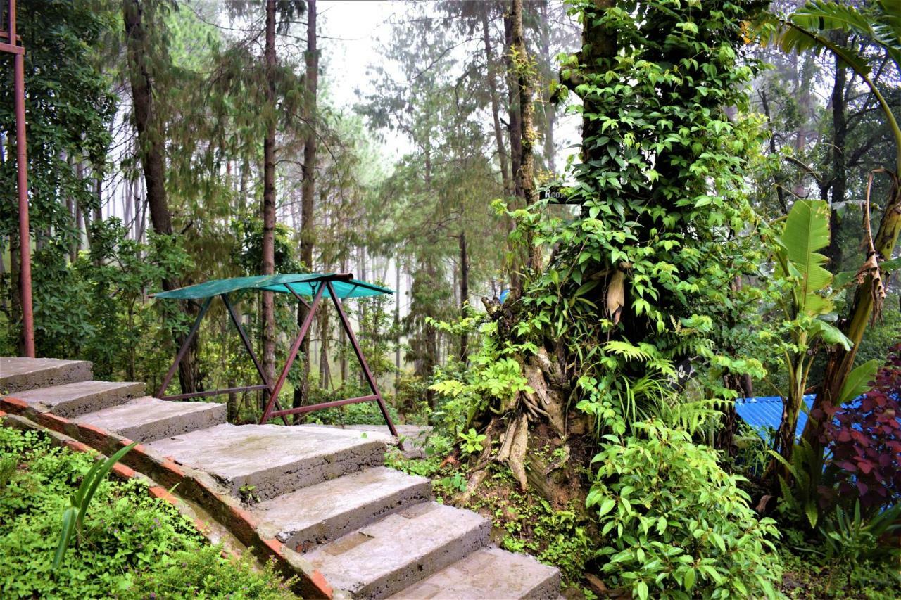 Jungle Crown Organic Homestay Nagarkot Kültér fotó