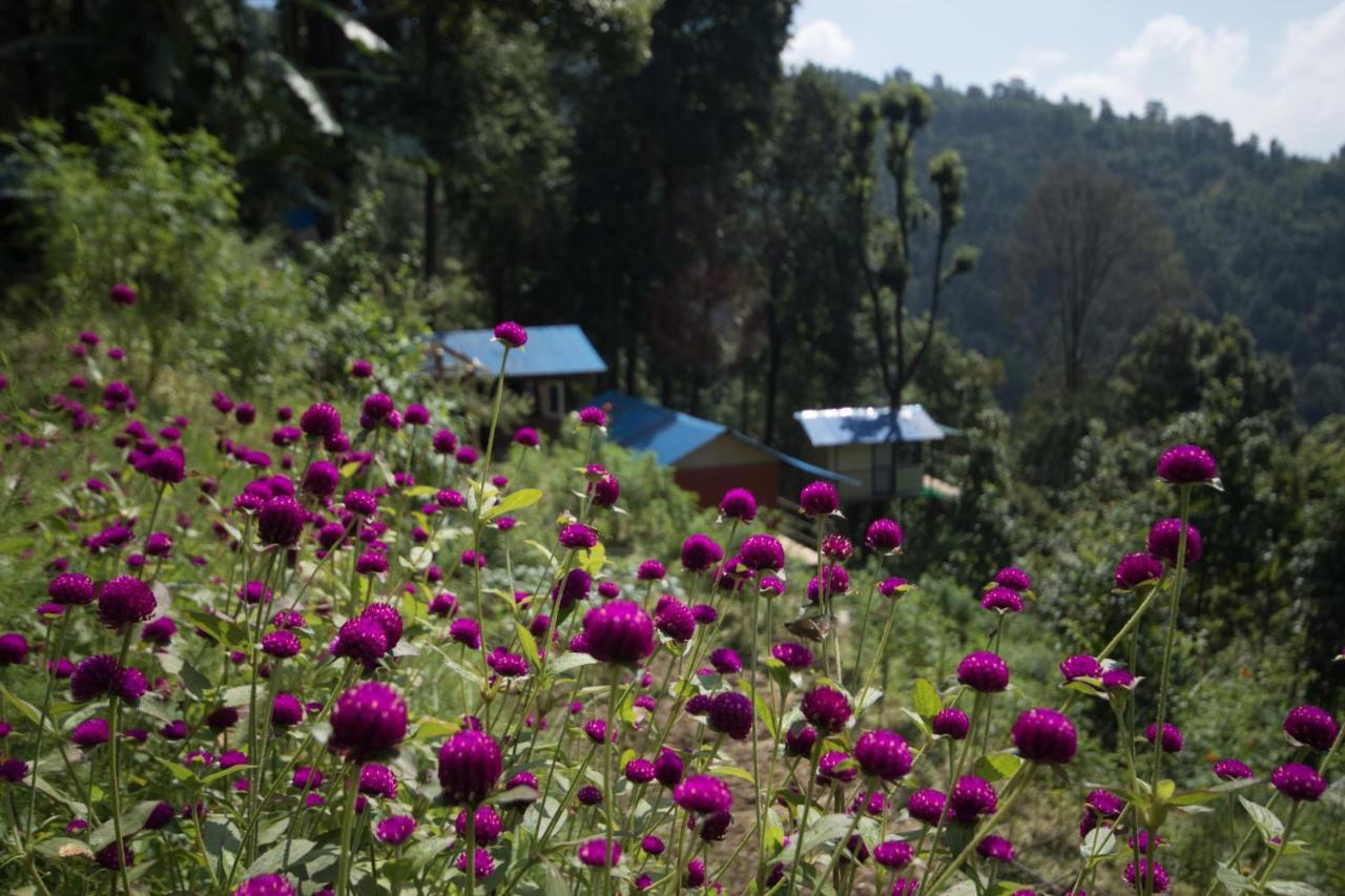 Jungle Crown Organic Homestay Nagarkot Kültér fotó