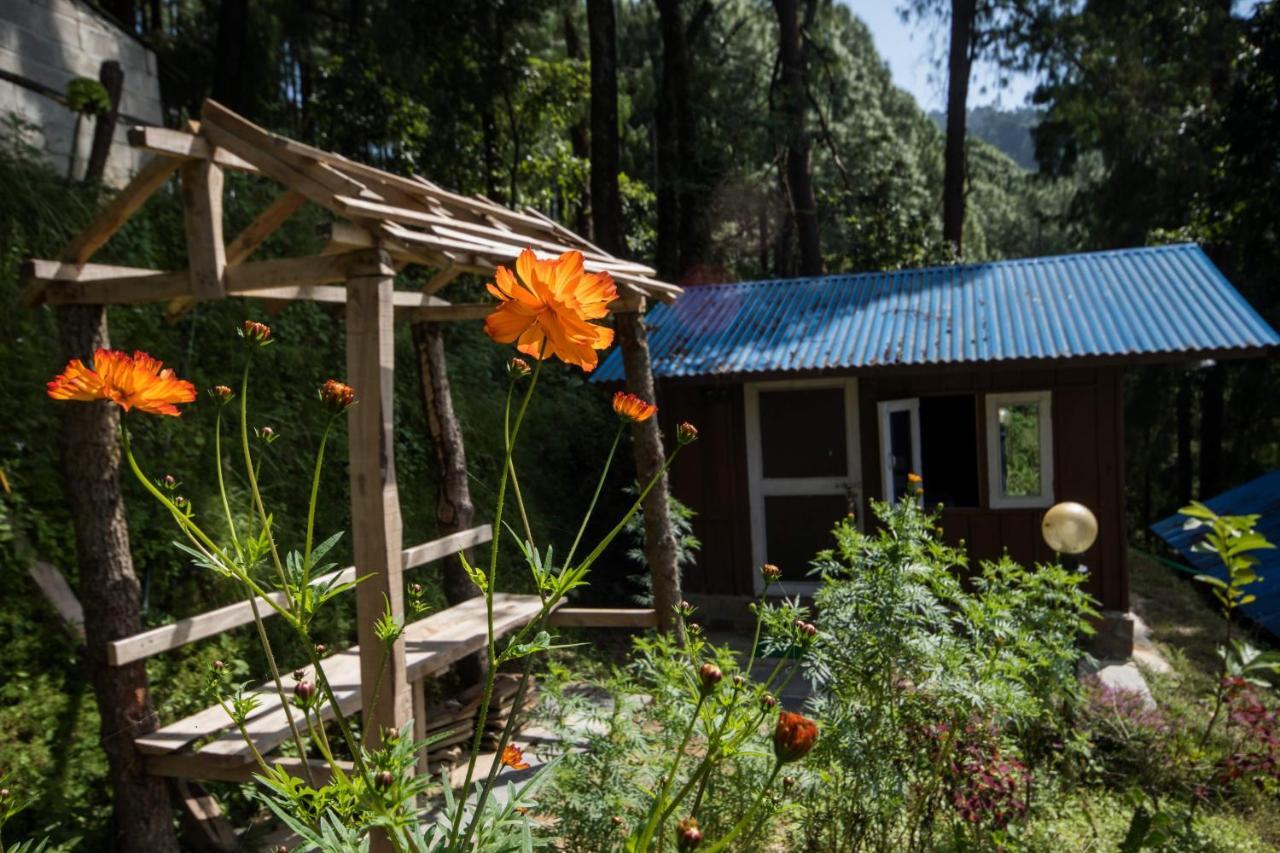 Jungle Crown Organic Homestay Nagarkot Kültér fotó