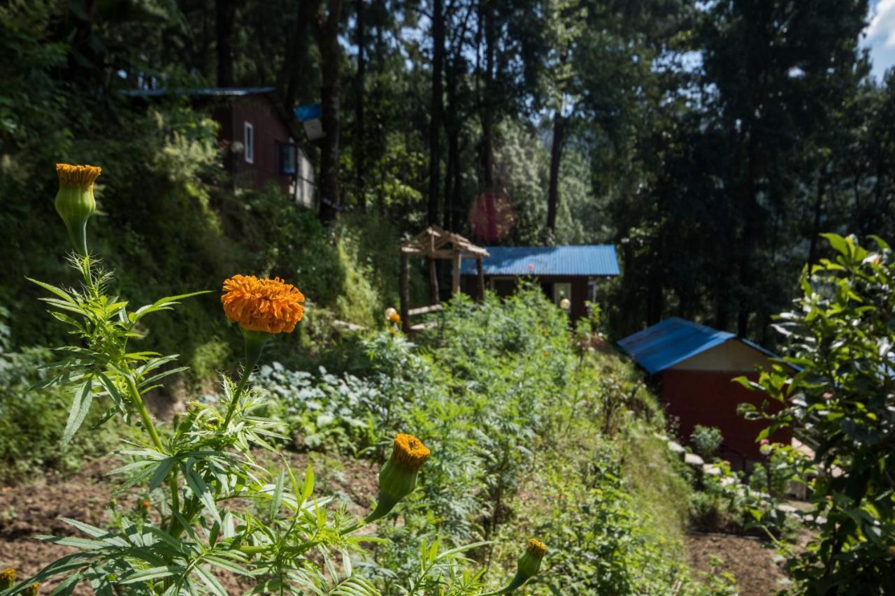 Jungle Crown Organic Homestay Nagarkot Kültér fotó
